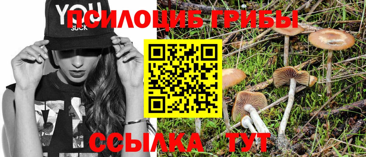Шахты  наркошоп  Вход с VPN  Псилоцибиновые грибы ЛСД 